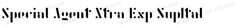 Special Agent Xtra Exp SupItal Regu字体转换